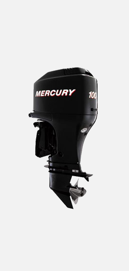    Mercury F 100ELPT EFI